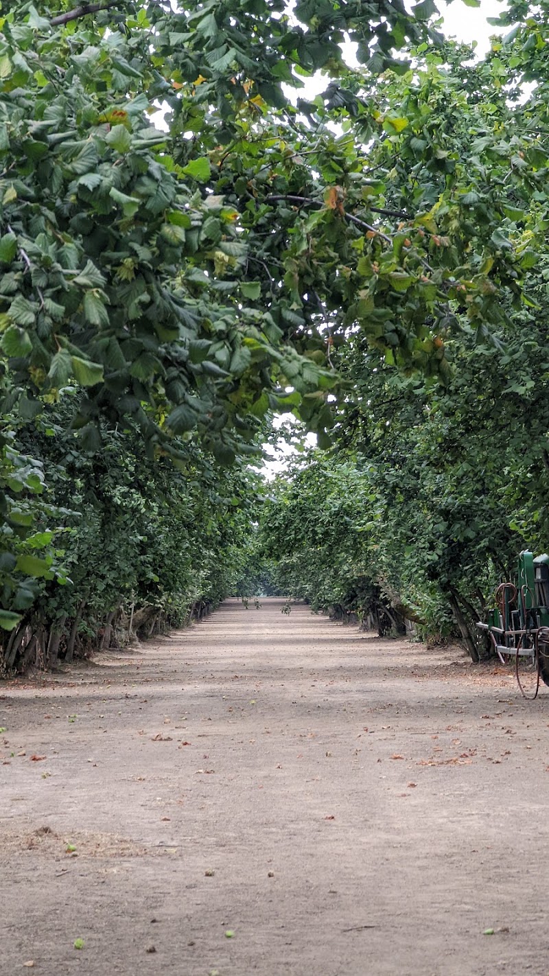 Ken & June's Hazelnuts Melcher Family Farms photo 3