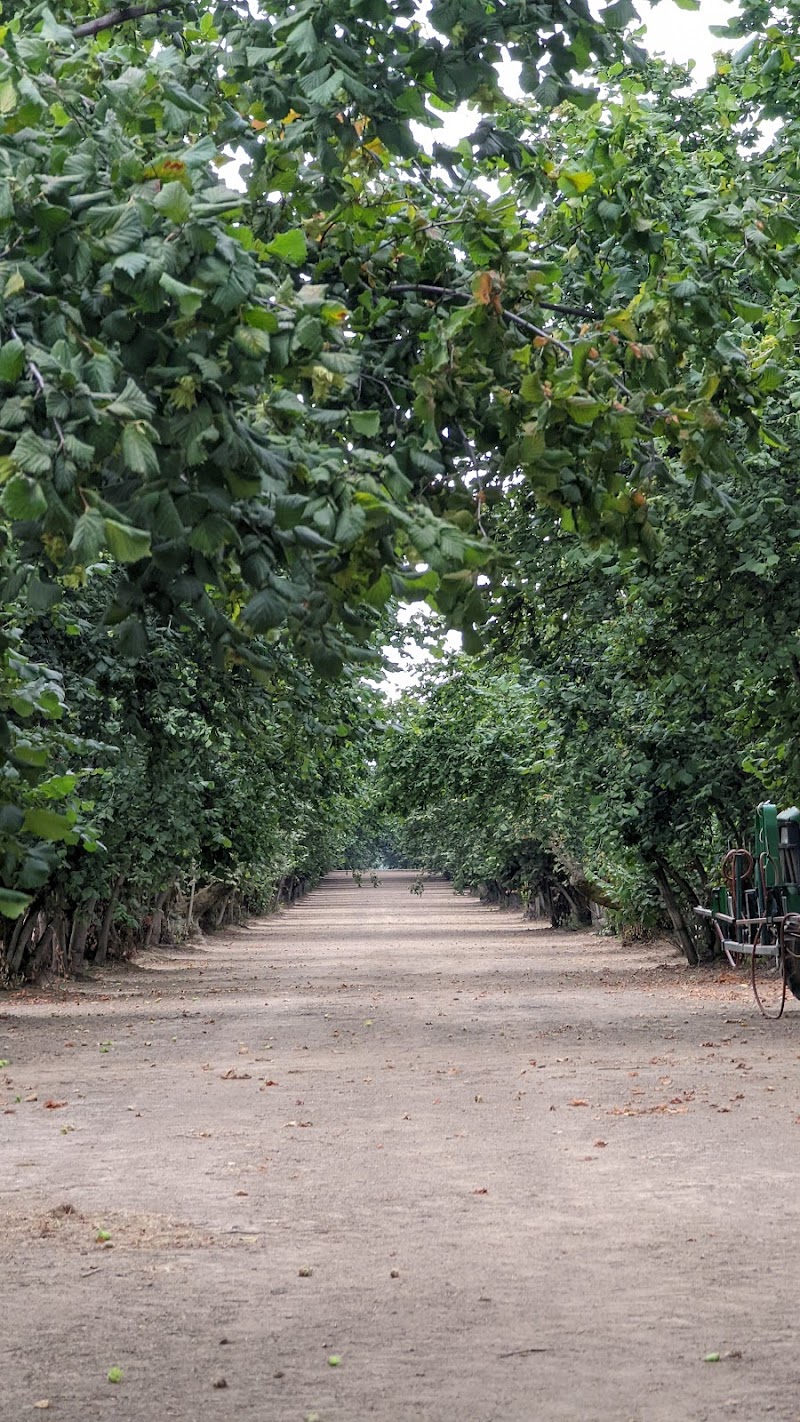 Ken & June's Hazelnuts Melcher Family Farms photo 3