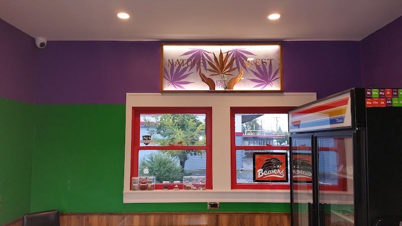 Video tour of THC Recreation Station Salem retail environment