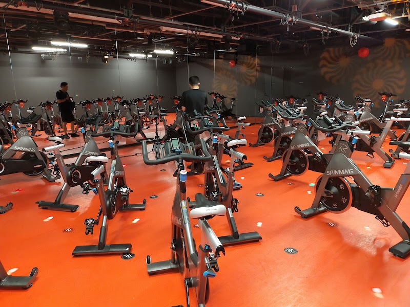 ジェクサー・フィットネス＆スパ 浦和