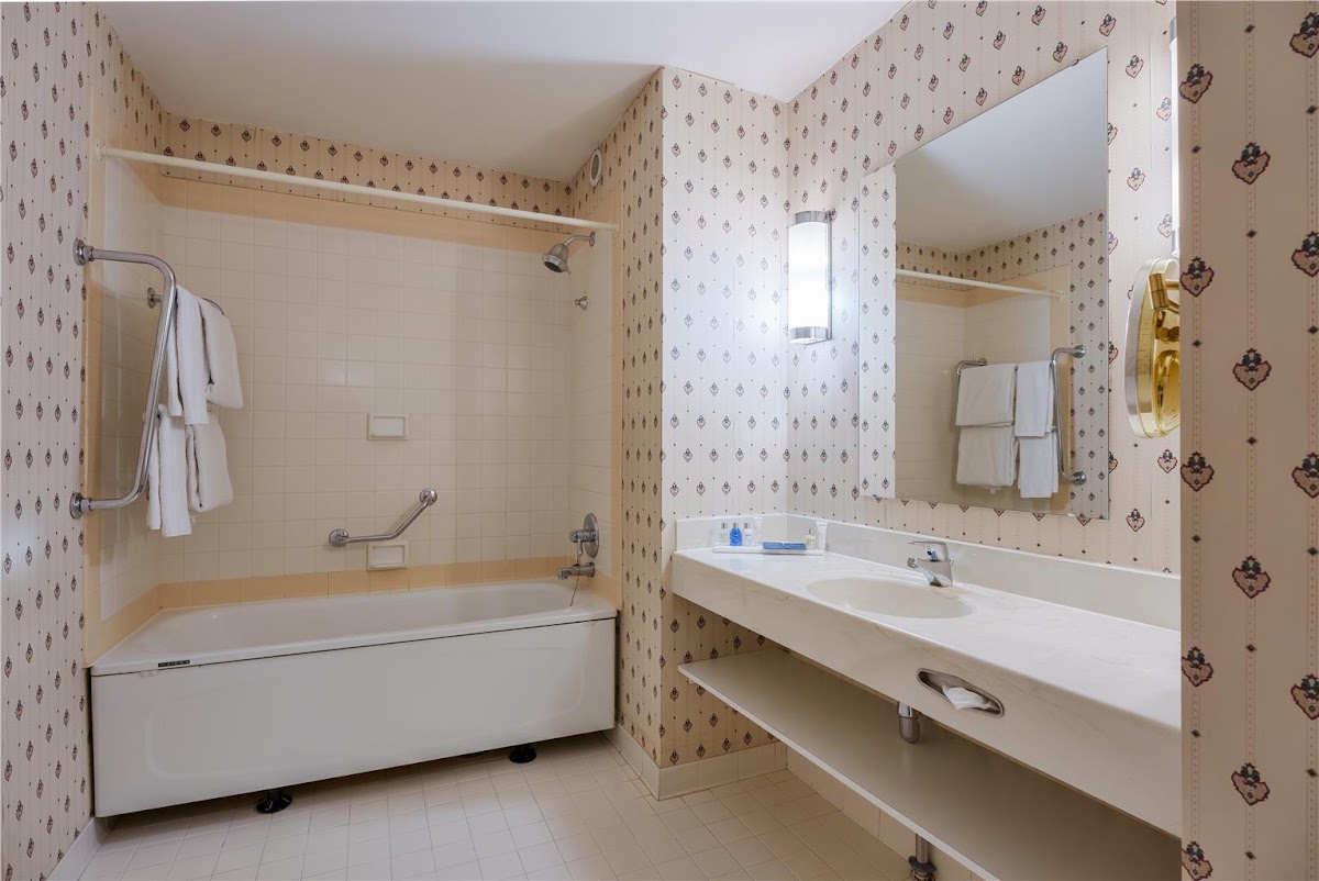 Radisson Blu Hotel & Spa, Daugava Riga, dog-friendly hotel, photo 3
