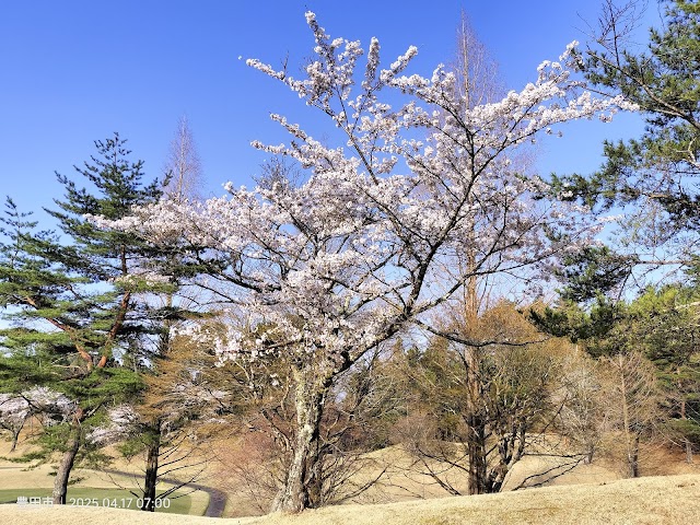 Inabu Country Club - Photo 7