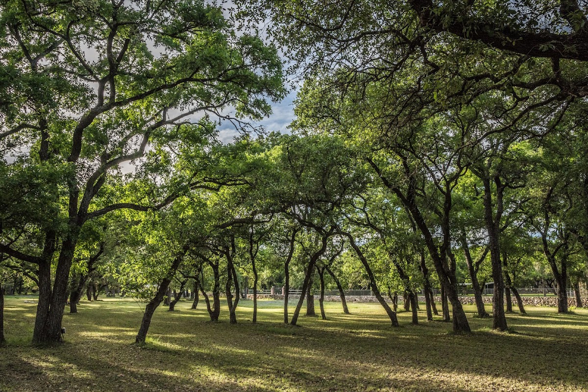 12 Oaks Hill Country Venue: Google Places image 5