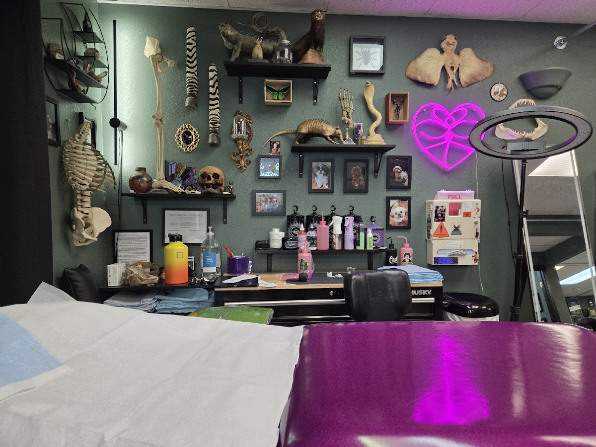 Black Dahlia Tattoo tattoo parlor in Ankeny, IA