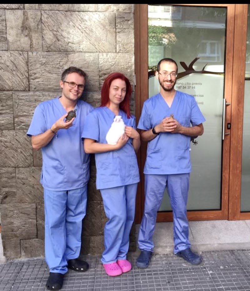 Clínica Veterinaria Axolotl • Veterinario especialista en exóticos, perros y gatos