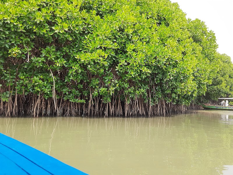 Kadalundi Bird Sanctuary