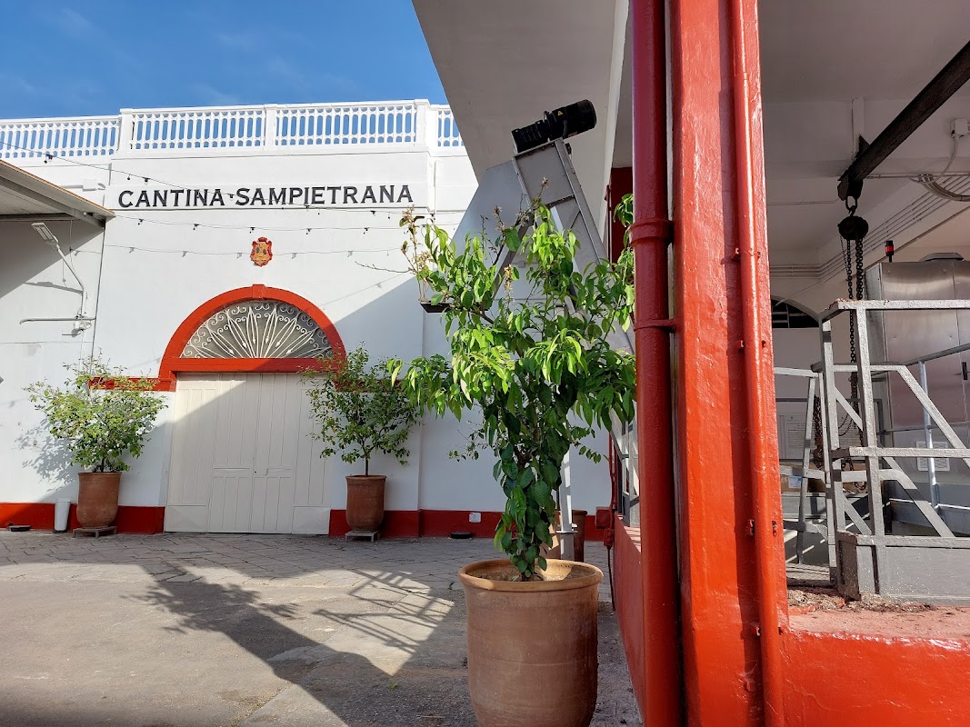 Cantina Sampietrana - Stabilimento (per acquisti e visite verificare gli orari dell'Enoteca)