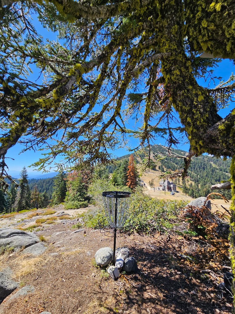 Siskiyou Crest Disc Golf Course photo 3