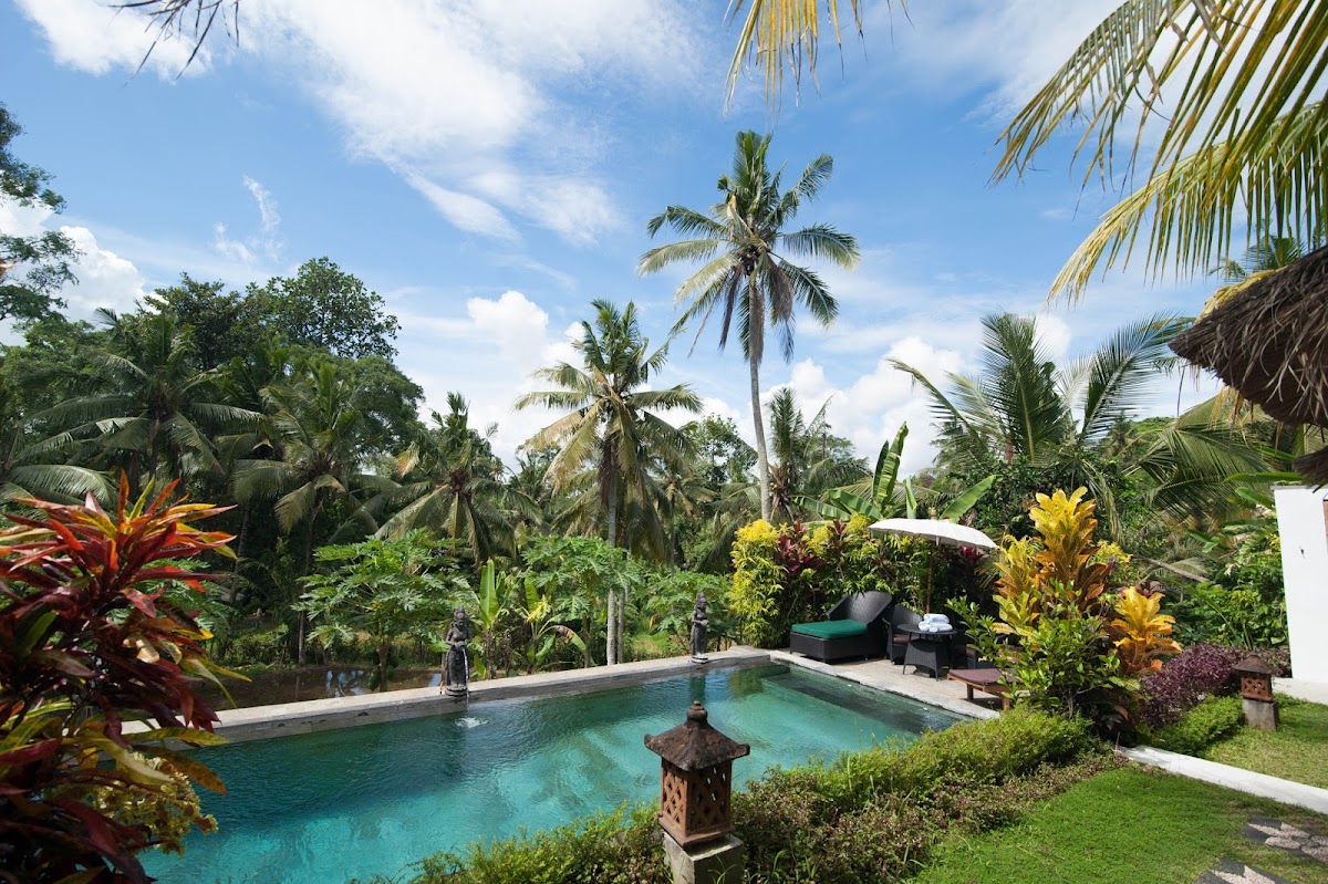 The Ark Ubud Bali