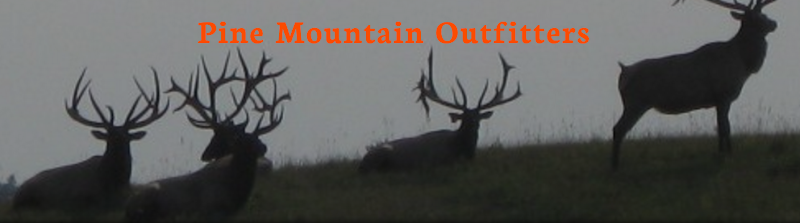 Pine Mountain Outfitters - Photo 6