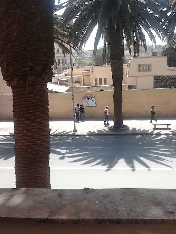 Damera Pension photo 3