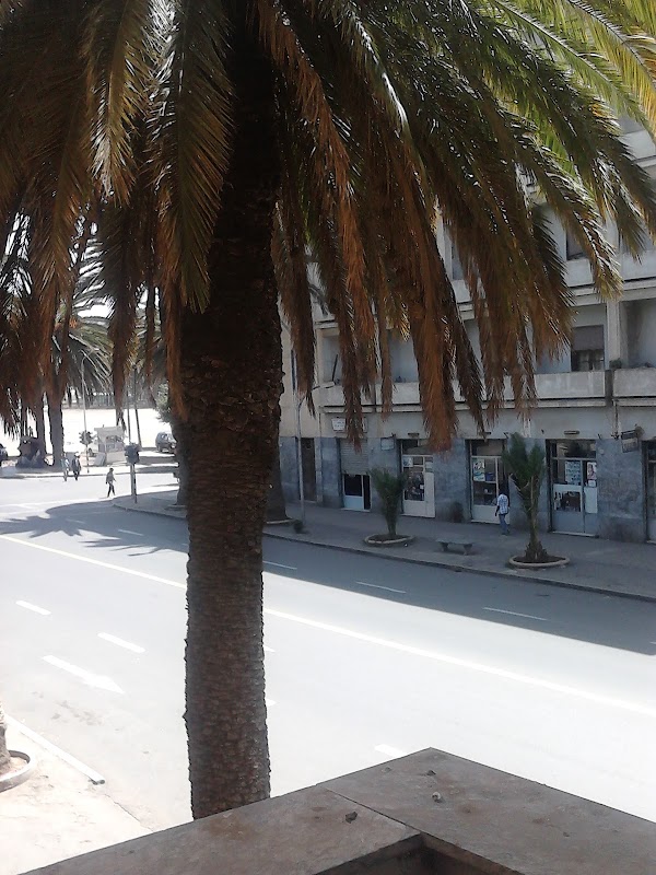 Damera Pension photo 5