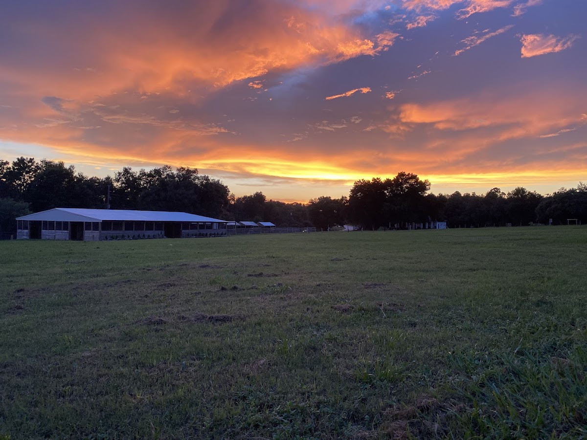 Black Horse Resort Ranch