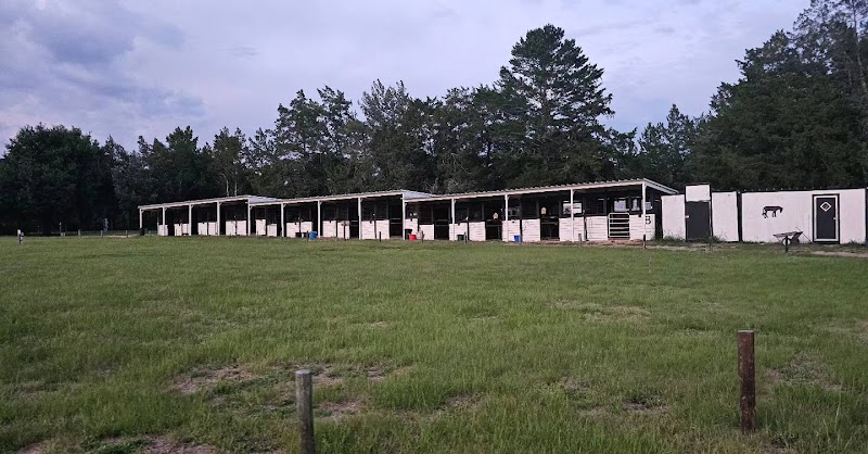 Black Horse Resort Ranch - Photo 1