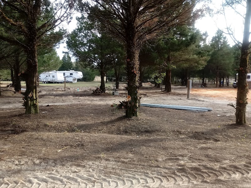 Black Horse Resort Ranch - Photo 5