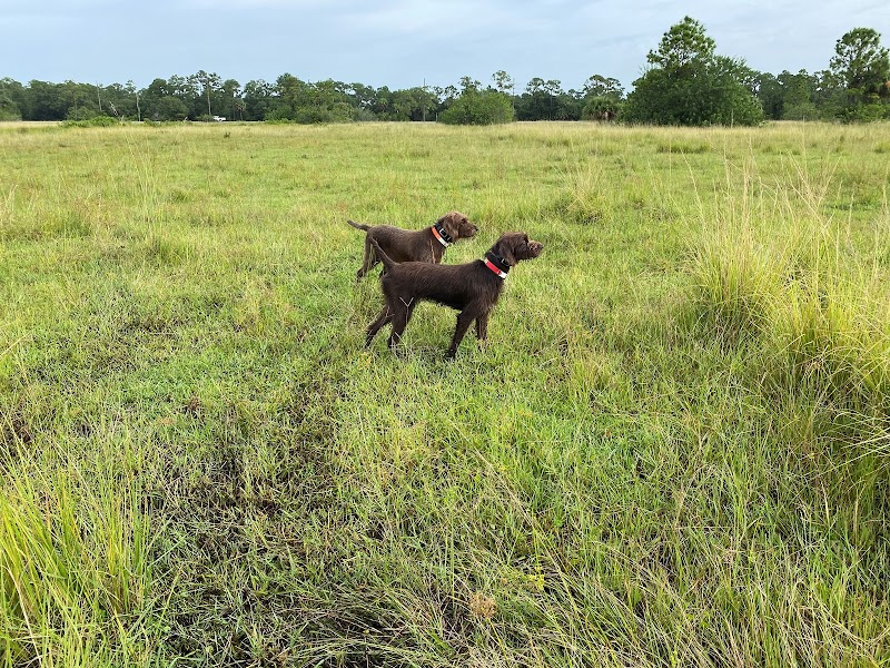 QHF Ranch - Photo 6