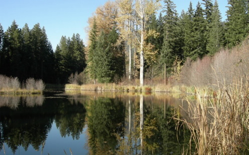 Ensign Ranch