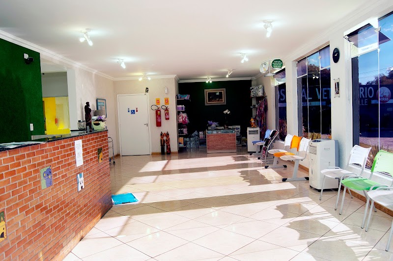 Hospital Veterinário Ecoville - foto 3