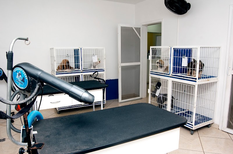 Hospital Veterinário Ecoville - foto 4