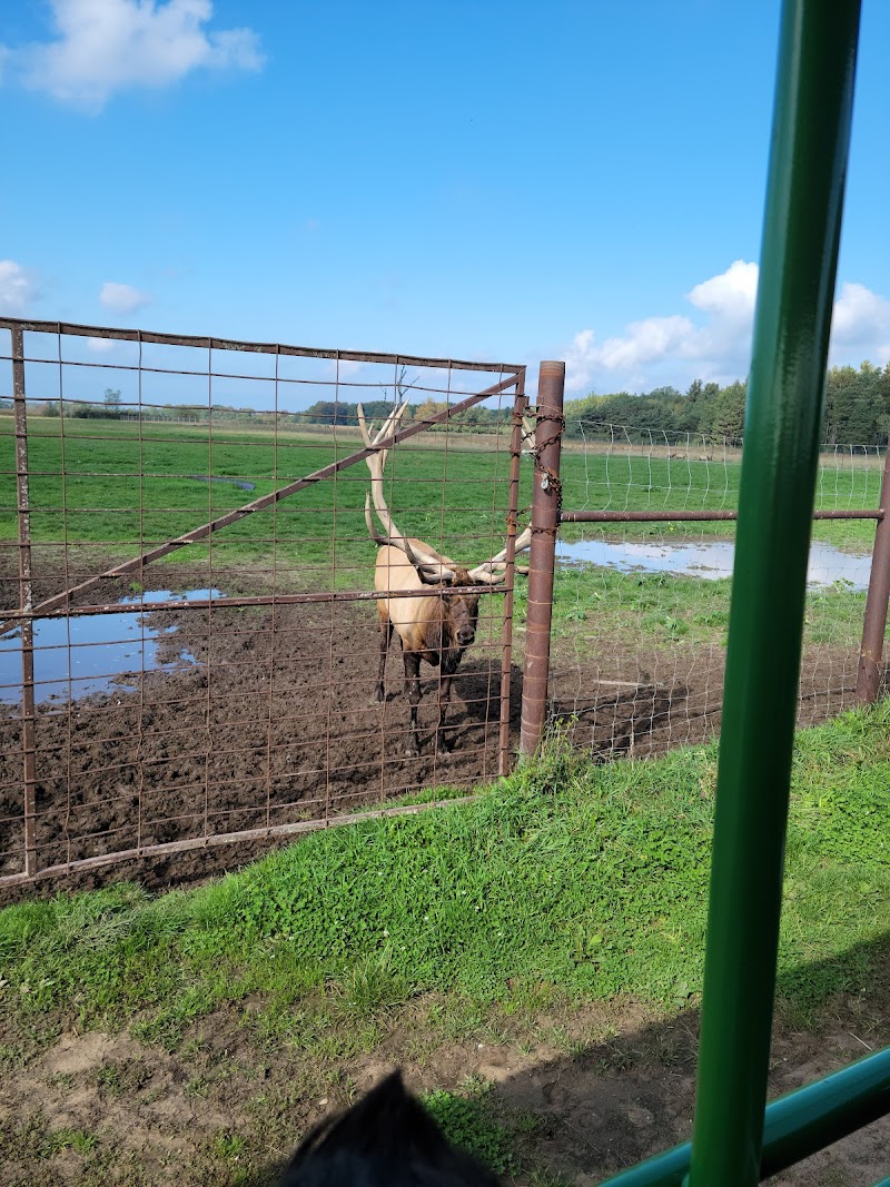 Amber Elk Ranch - Photo 6