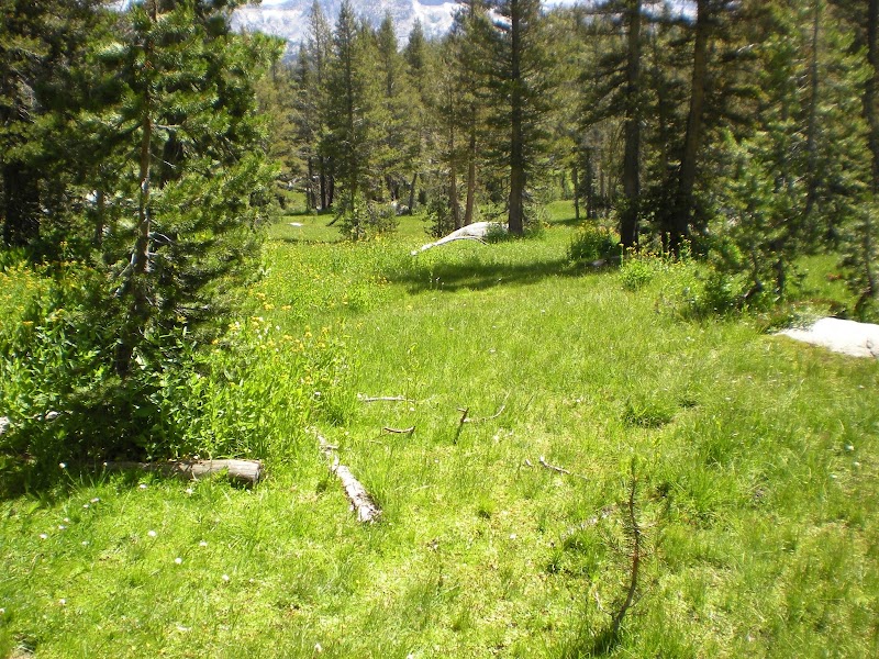 Pacific Pines facility