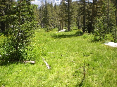 Pacific Pines facility photo