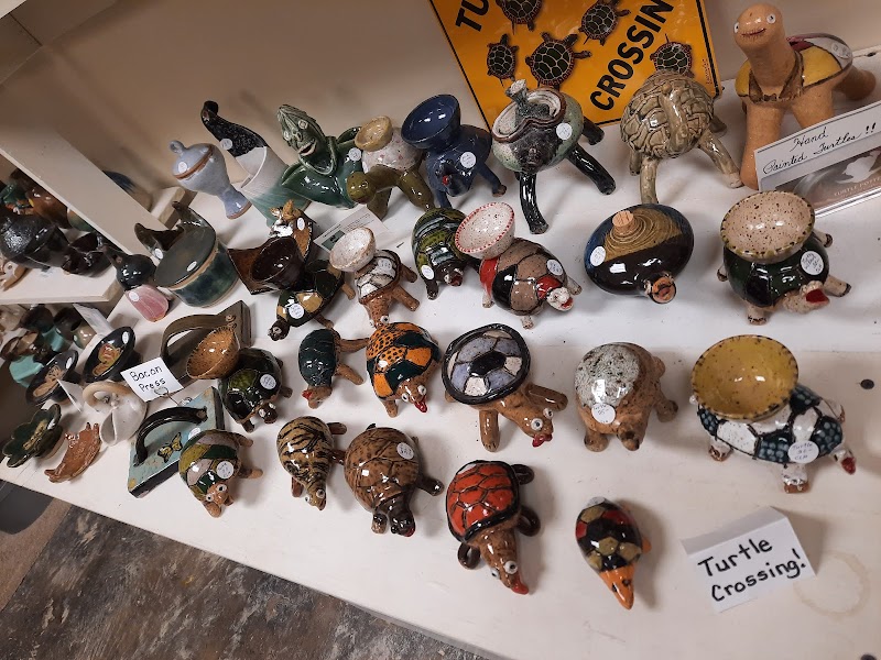 Turtle Pottery Studio & Gallery