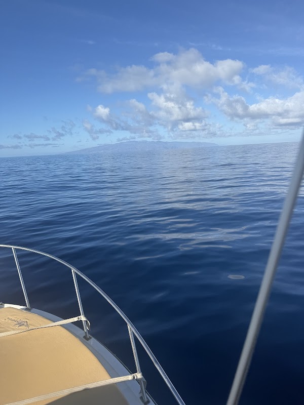 Deep Sea Fishing in Los Cristianos photo 4