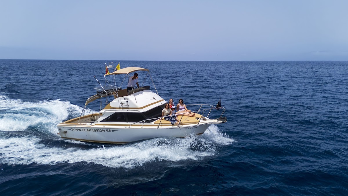 Deep Sea Fishing in Los Cristianos