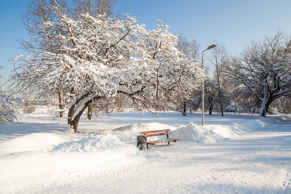 Moscow'S Outskirts