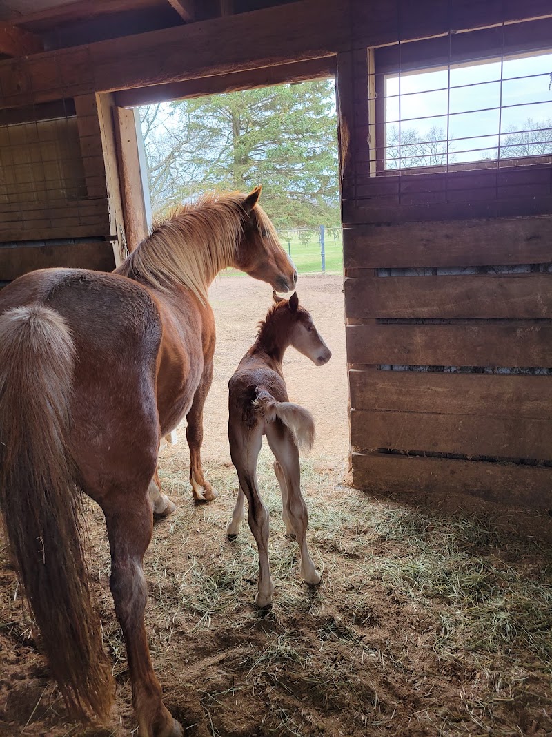 Bluing Barn LLC photo