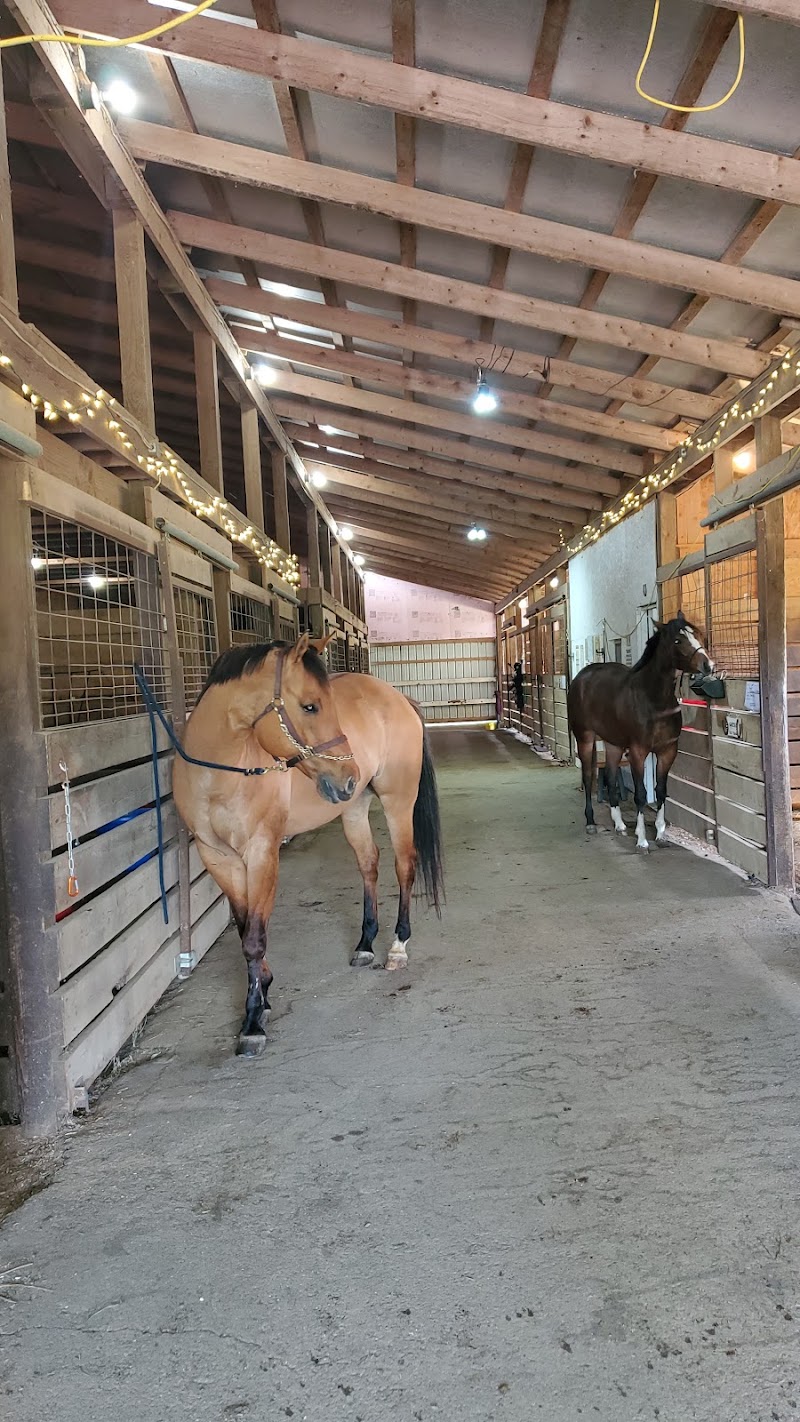 Bluing Barn LLC photo