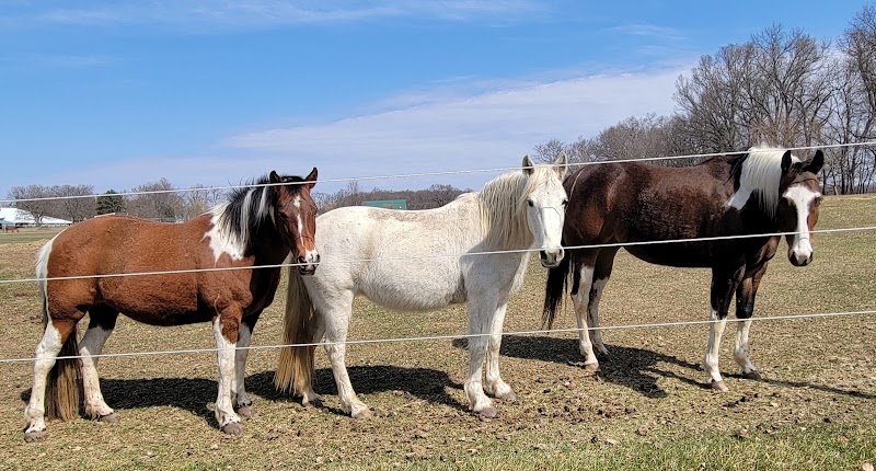 Bluing Barn LLC photo