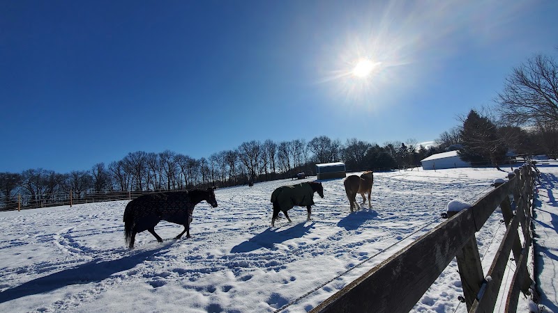 Bluing Barn LLC photo