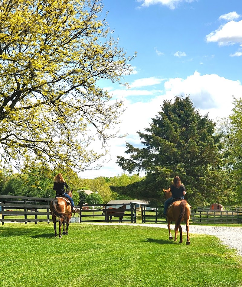 Bluing Barn LLC photo