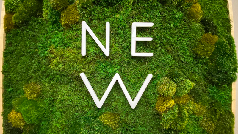 NE Wellness + SweatWorks Studio