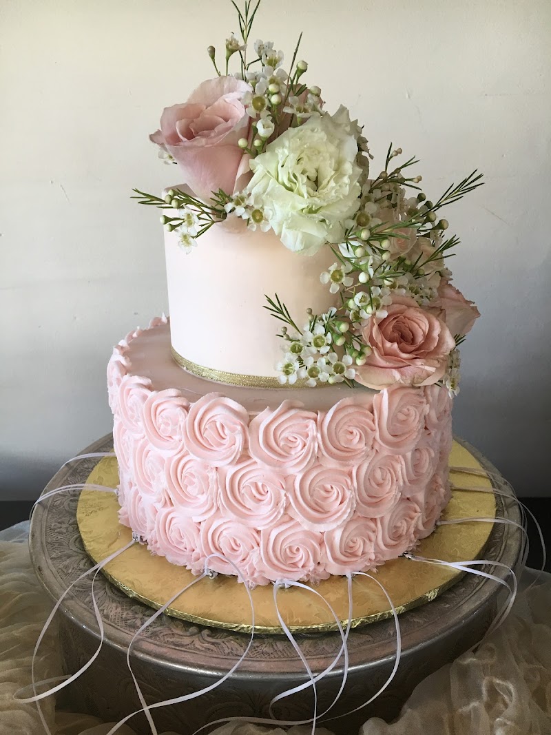 The MV Skansonia photo 10