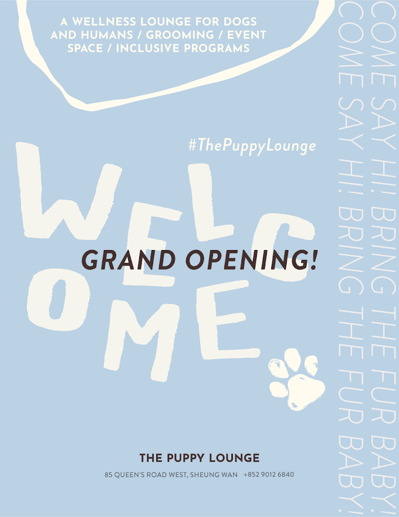 The Puppy Lounge by Rise Wise