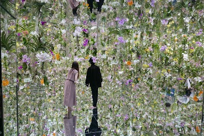 チームラボプラネッツ TOKYO DMM