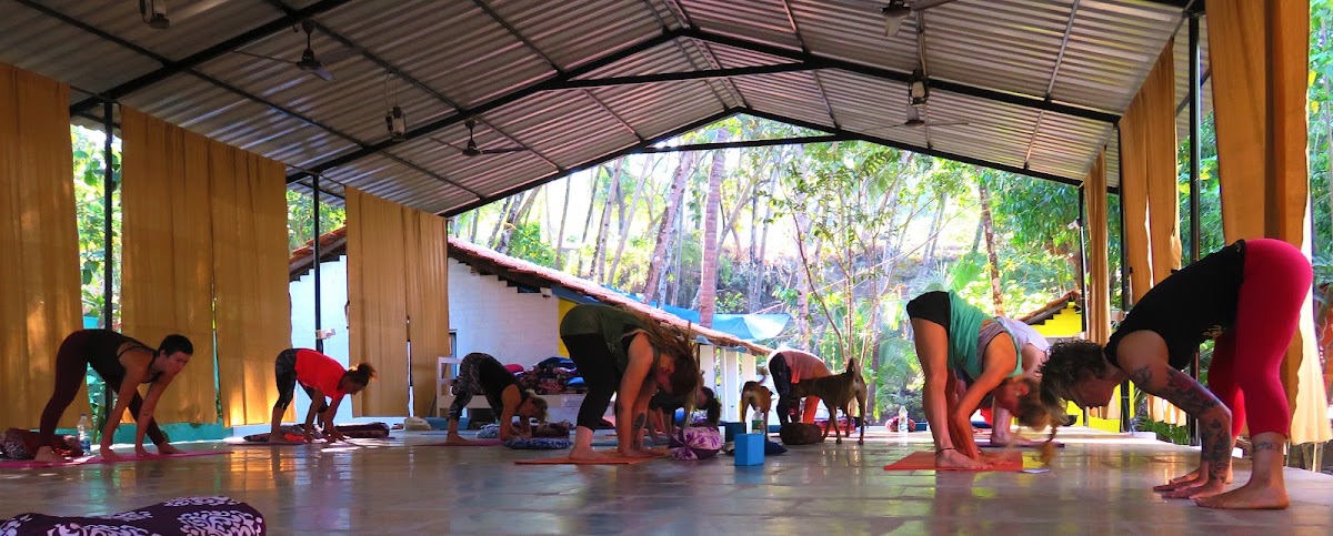 Divine Path Yoga School & Retreat — 4