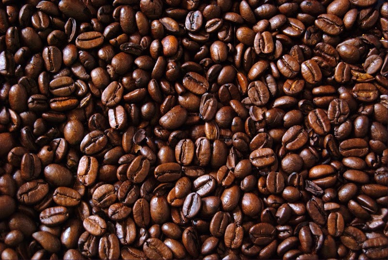 Woods Coffee photo 2