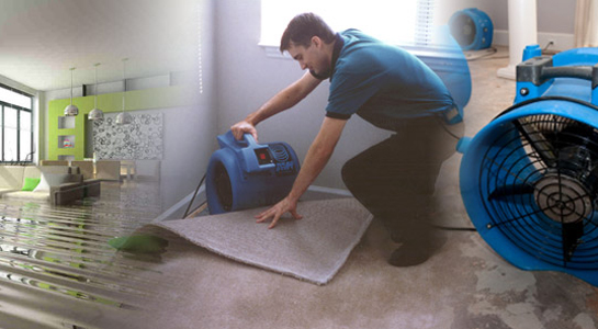 Water Damage Restoration — photo