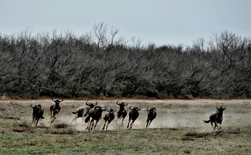 Thompson Hunting Lodge - Photo 3