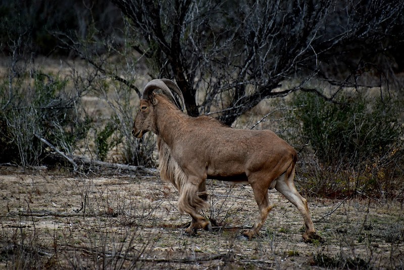 Thompson Hunting Lodge - Photo 4
