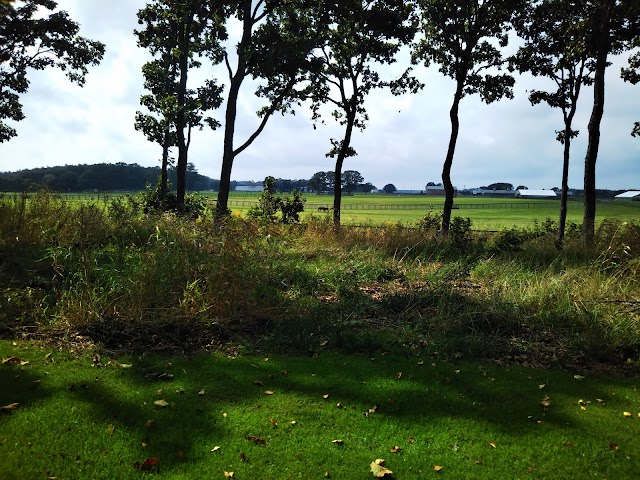 Hokkaido Classic Golf Club - Photo 5