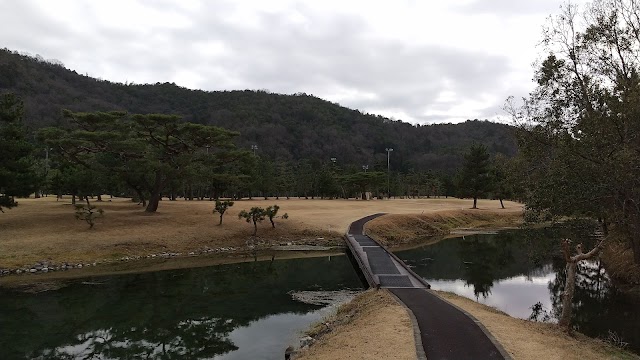 Ichikawa Golf - Photo 8