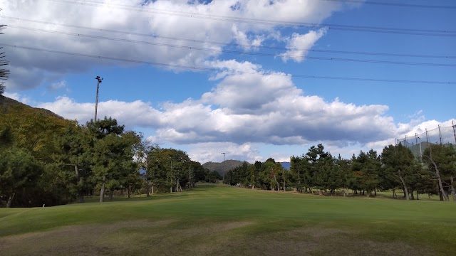 Ichikawa Golf - Photo 5