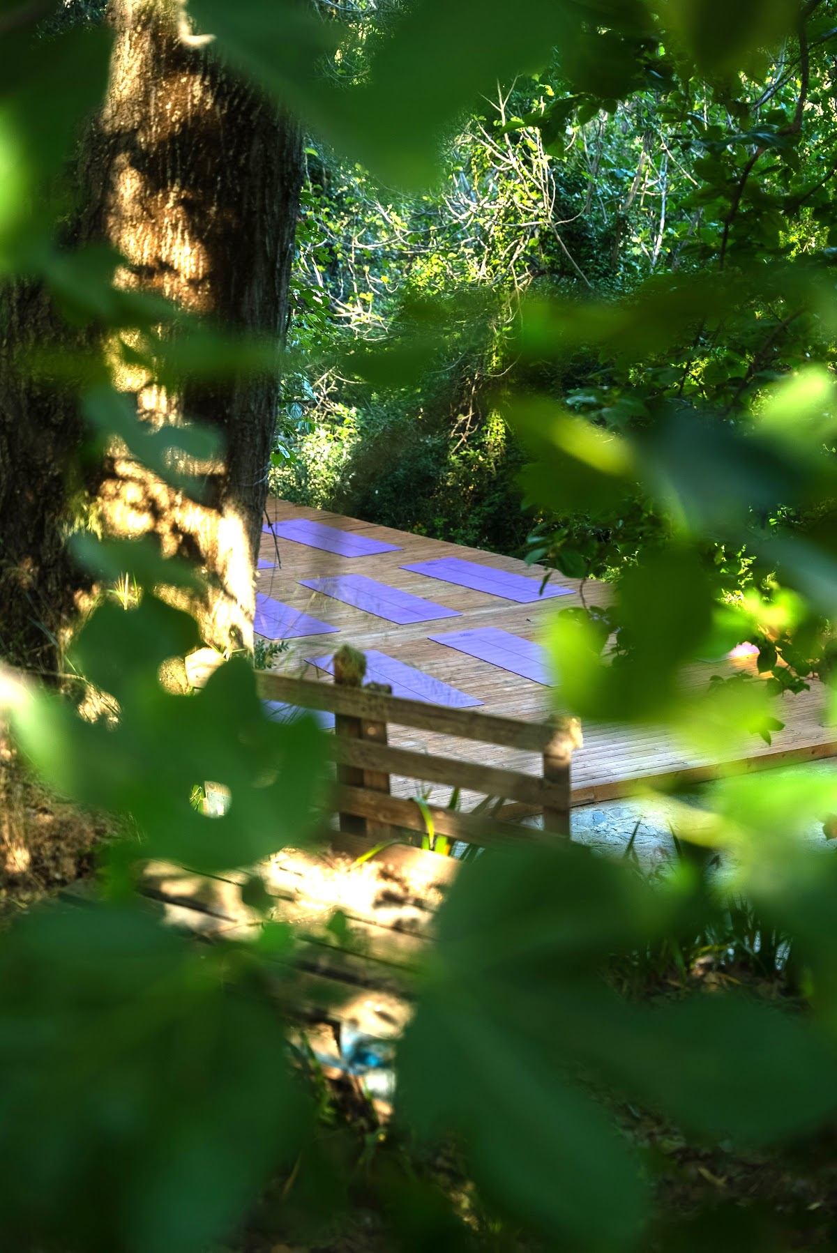 Molino del Zegri Eco Yoga Retreat