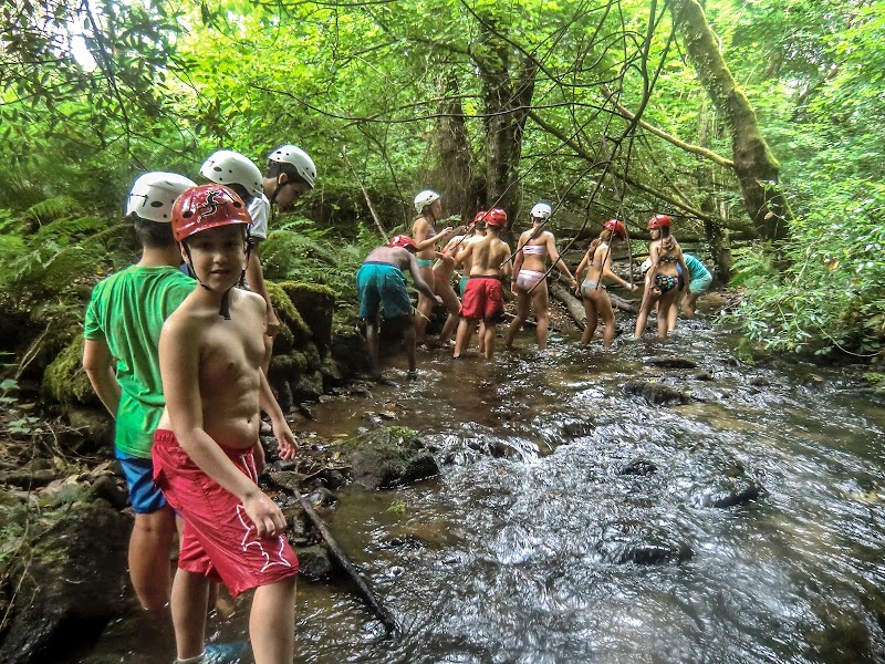 FERVENZAVENTURA photo 5