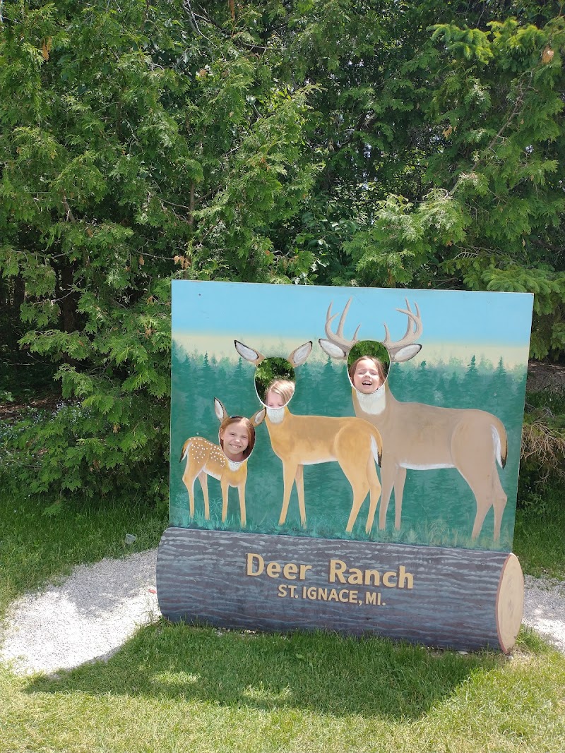 Deer Ranch - Photo 6